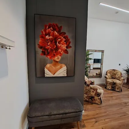 Centro, Duplex De Diseno. * Vigo