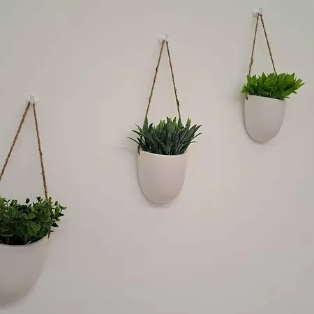 Centro, Duplex De Diseno. * Vigo