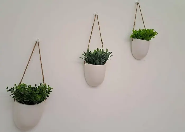 Centro, Duplex De Diseno. * Vigo